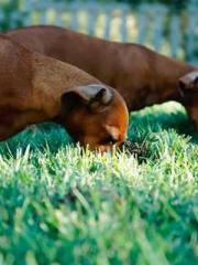 Becoming a Farm Girl