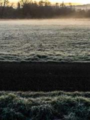 lt;Ye Qingyun, Tiany