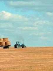 Crossing the Great Q