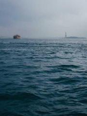 lt;Diga: From Jetton