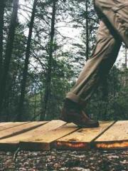 Fu Zi Mo Qin Luo Yan