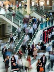 Two Treasures Arrive