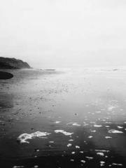 The  Princess  Rebor