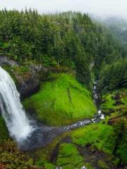 My husband is the Ki