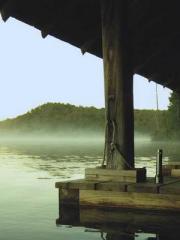 The Imperial Concubi