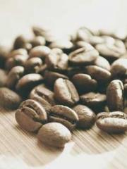 lt;Dragon King Legen