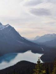 Fāng Chénlín Xuěyán