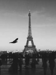 lt;Dragon King Legen