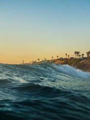 lt;lt;The Trash Husb